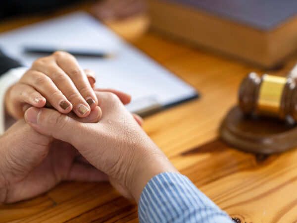 lawyer doing a handshake with the client